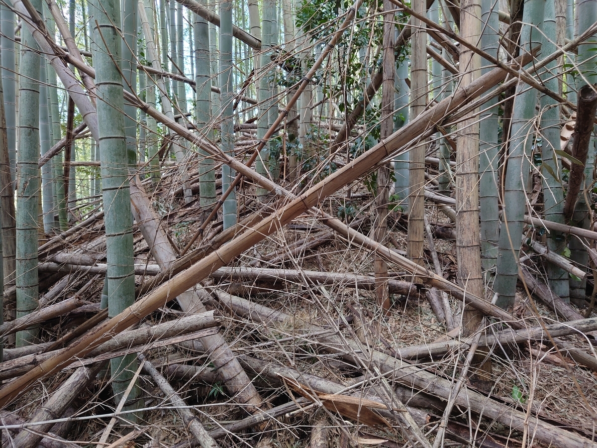 f:id:mai9mami:20220312120027j:plain