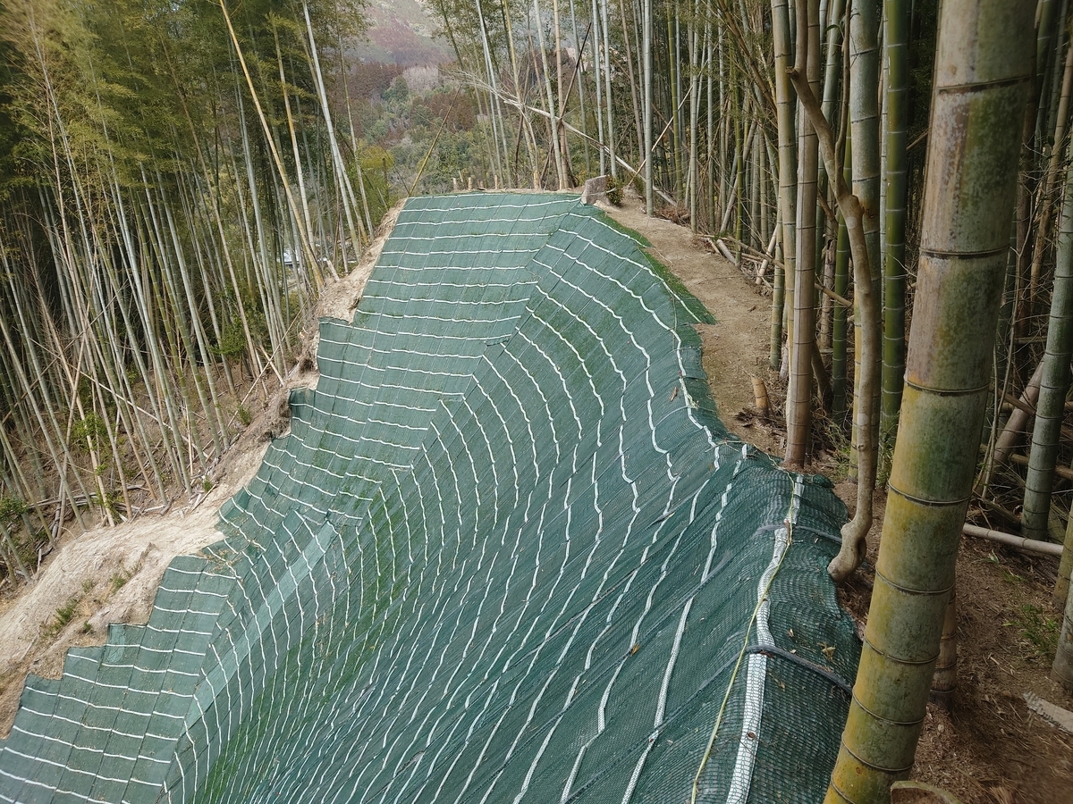 f:id:mai9mami:20220312120533j:plain