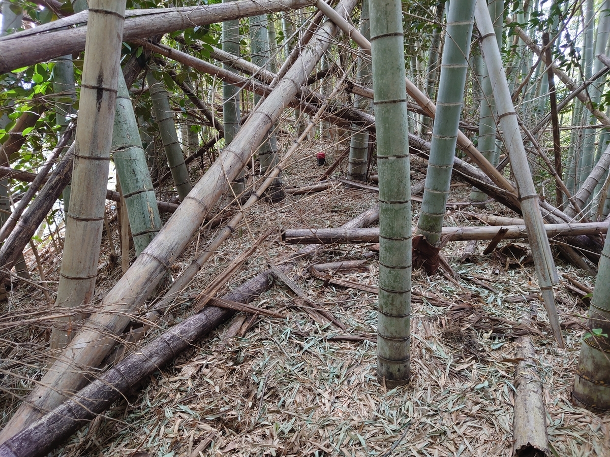 f:id:mai9mami:20220312122208j:plain