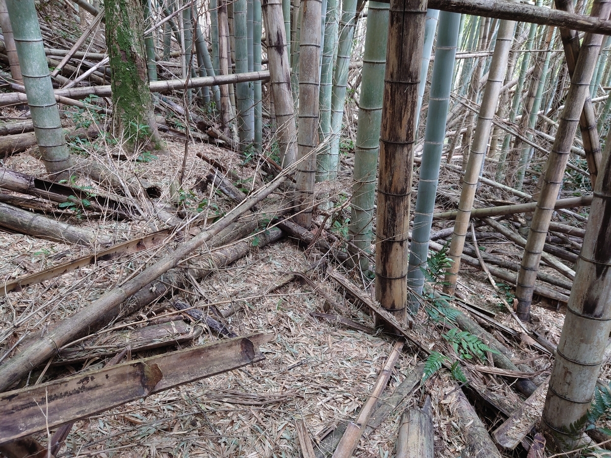 f:id:mai9mami:20220312124321j:plain