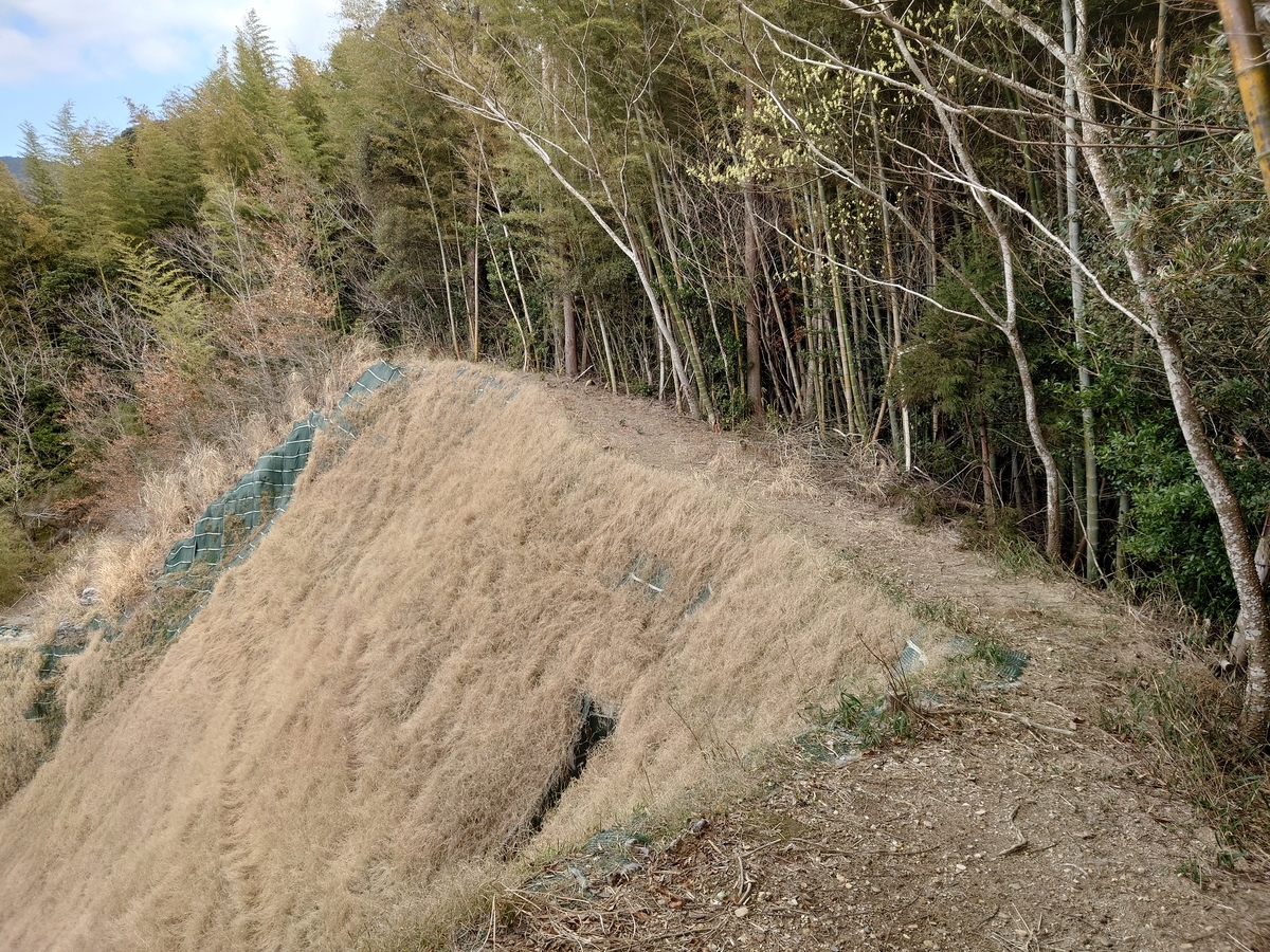 f:id:mai9mami:20220312125717j:plain