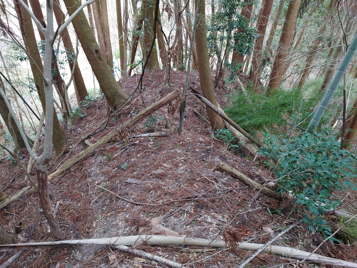 f:id:mai9mami:20220312130145j:plain