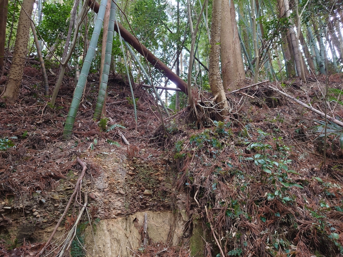 f:id:mai9mami:20220313103939j:plain