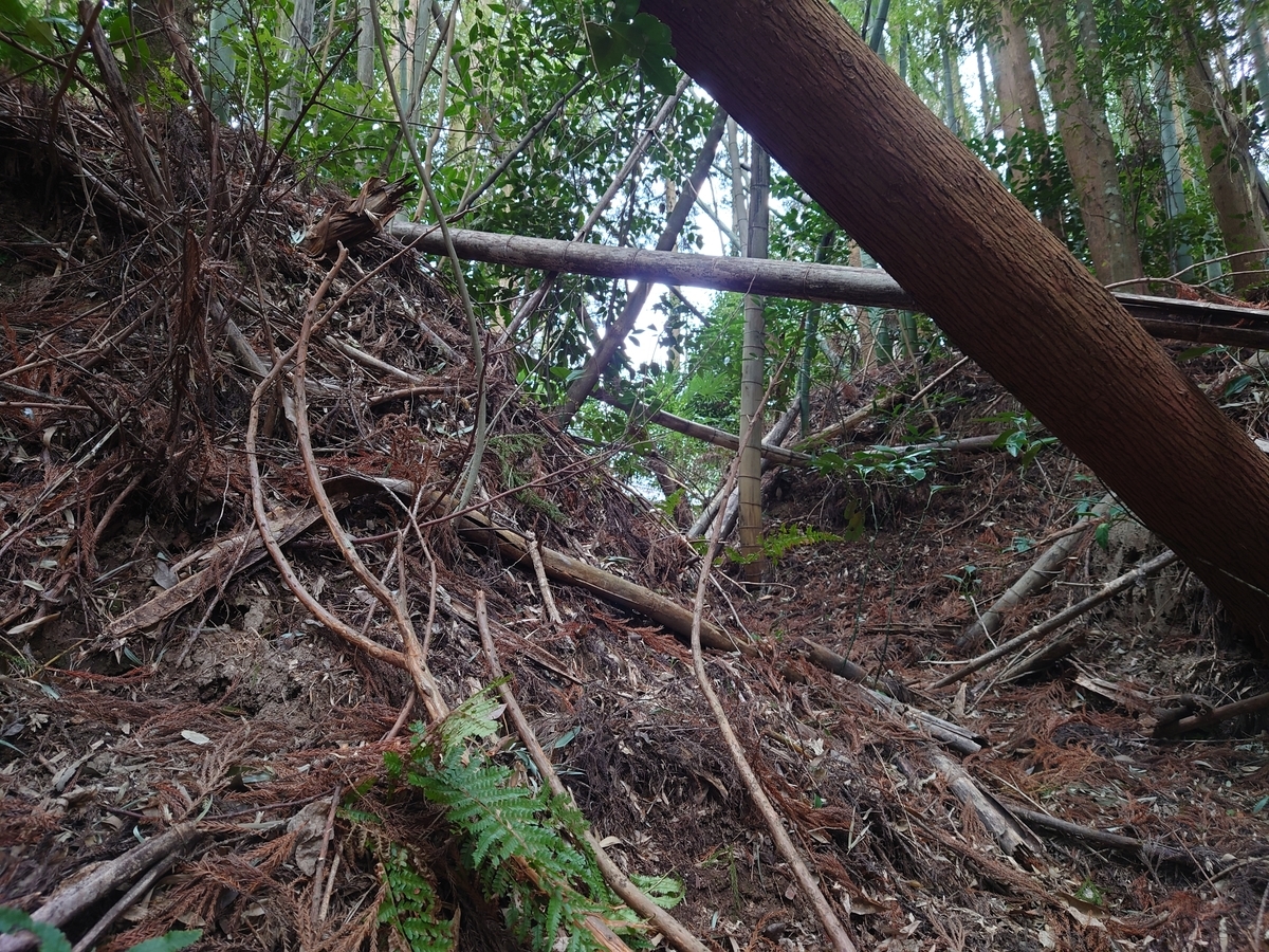 f:id:mai9mami:20220313104042j:plain