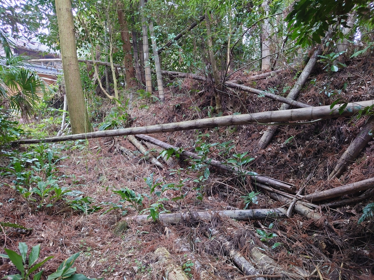 f:id:mai9mami:20220313104711j:plain