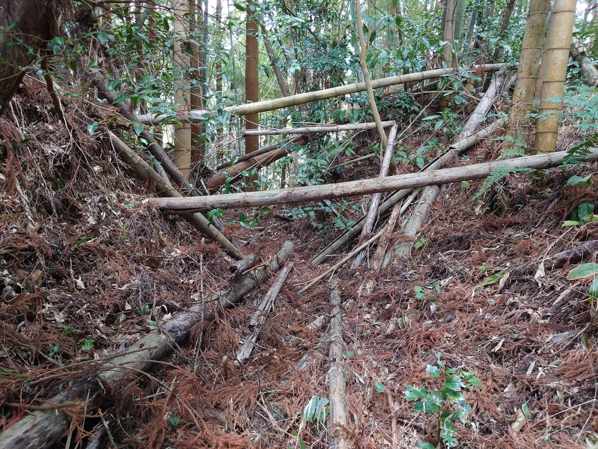 f:id:mai9mami:20220313104748j:plain