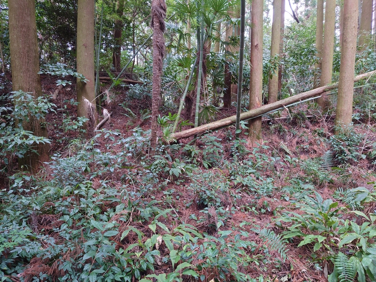 f:id:mai9mami:20220313105449j:plain