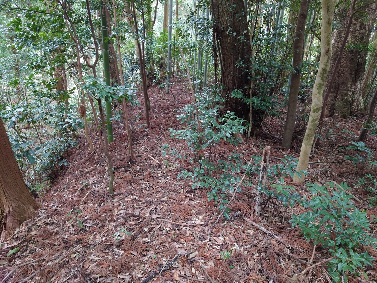 f:id:mai9mami:20220313110945j:plain