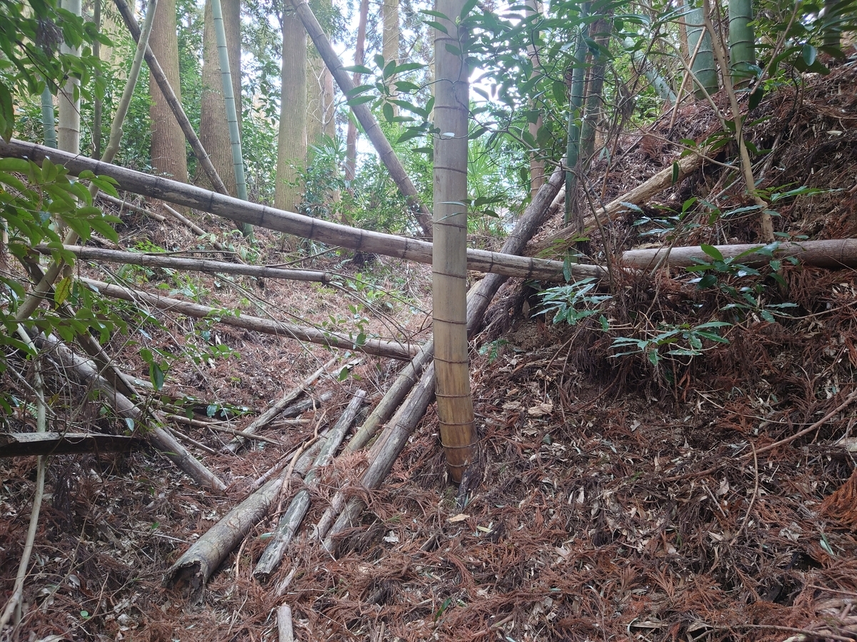 f:id:mai9mami:20220313111424j:plain