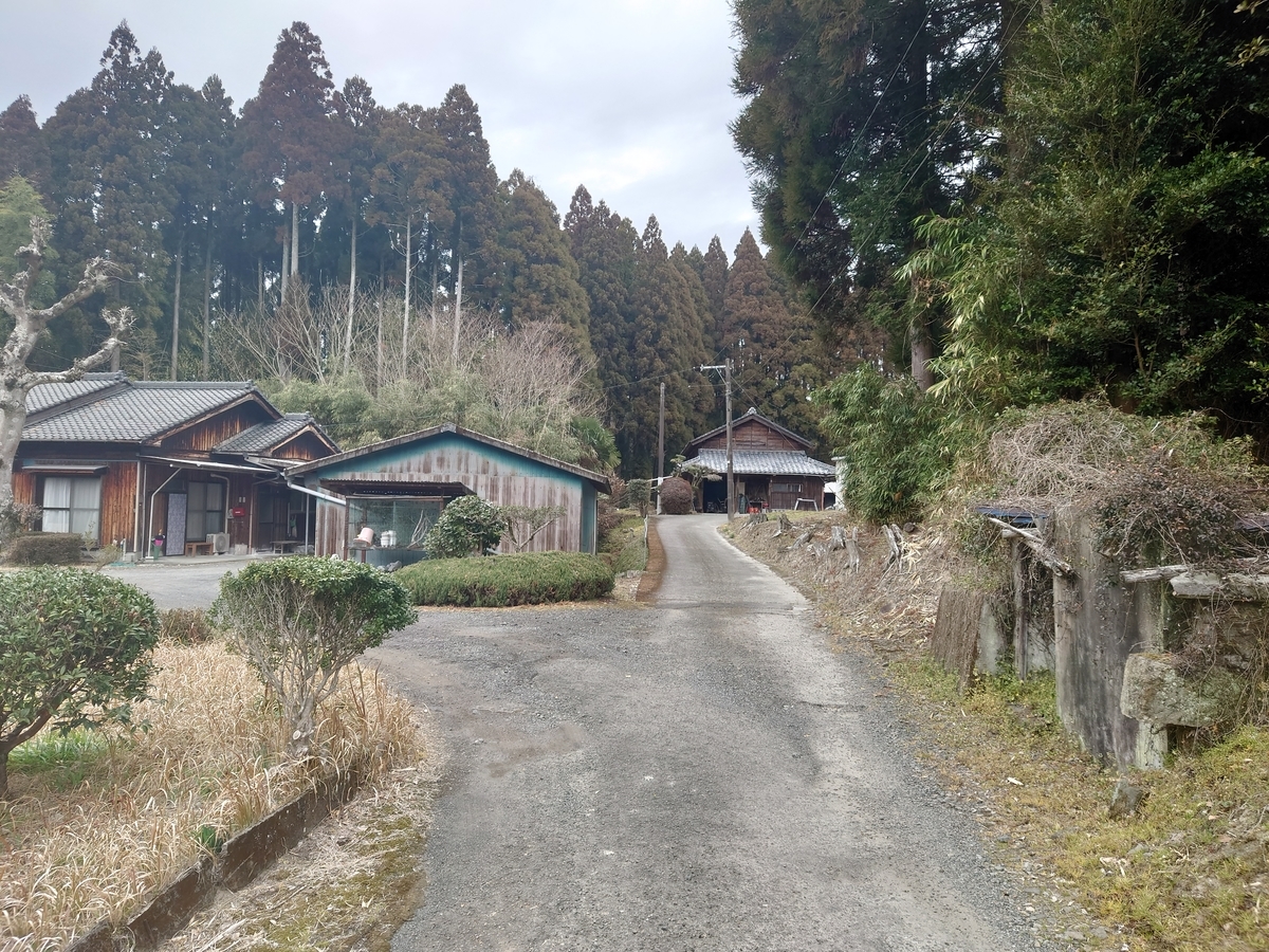 f:id:mai9mami:20220313111829j:plain