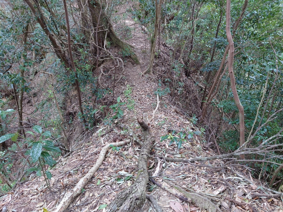 f:id:mai9mami:20220313120225j:plain