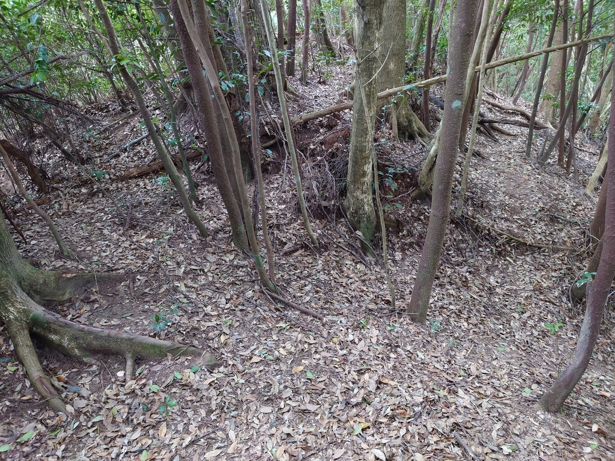 f:id:mai9mami:20220313123903j:plain