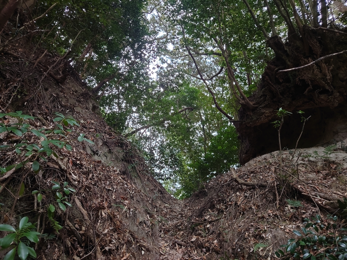 f:id:mai9mami:20220313124737j:plain