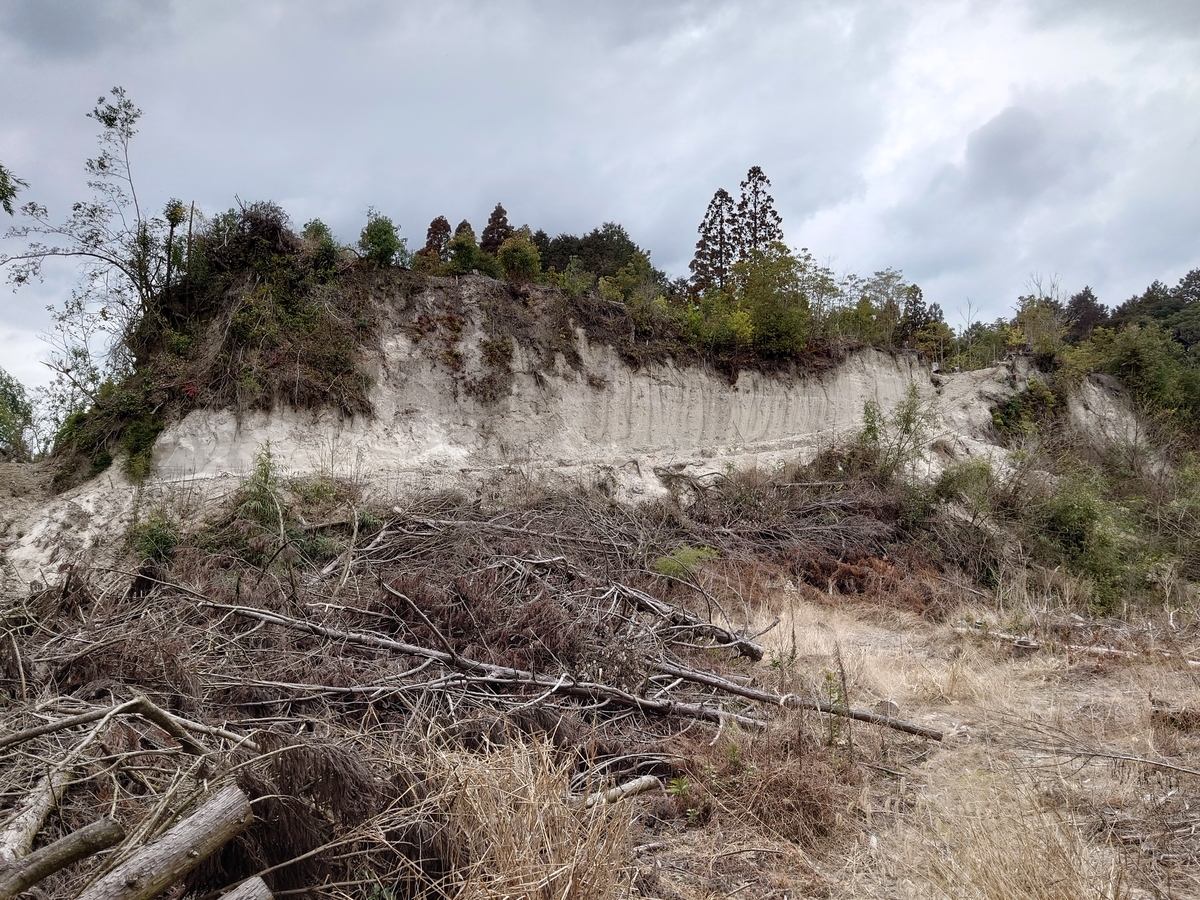 f:id:mai9mami:20220313131415j:plain