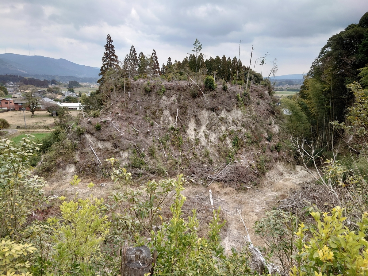 f:id:mai9mami:20220313133058j:plain