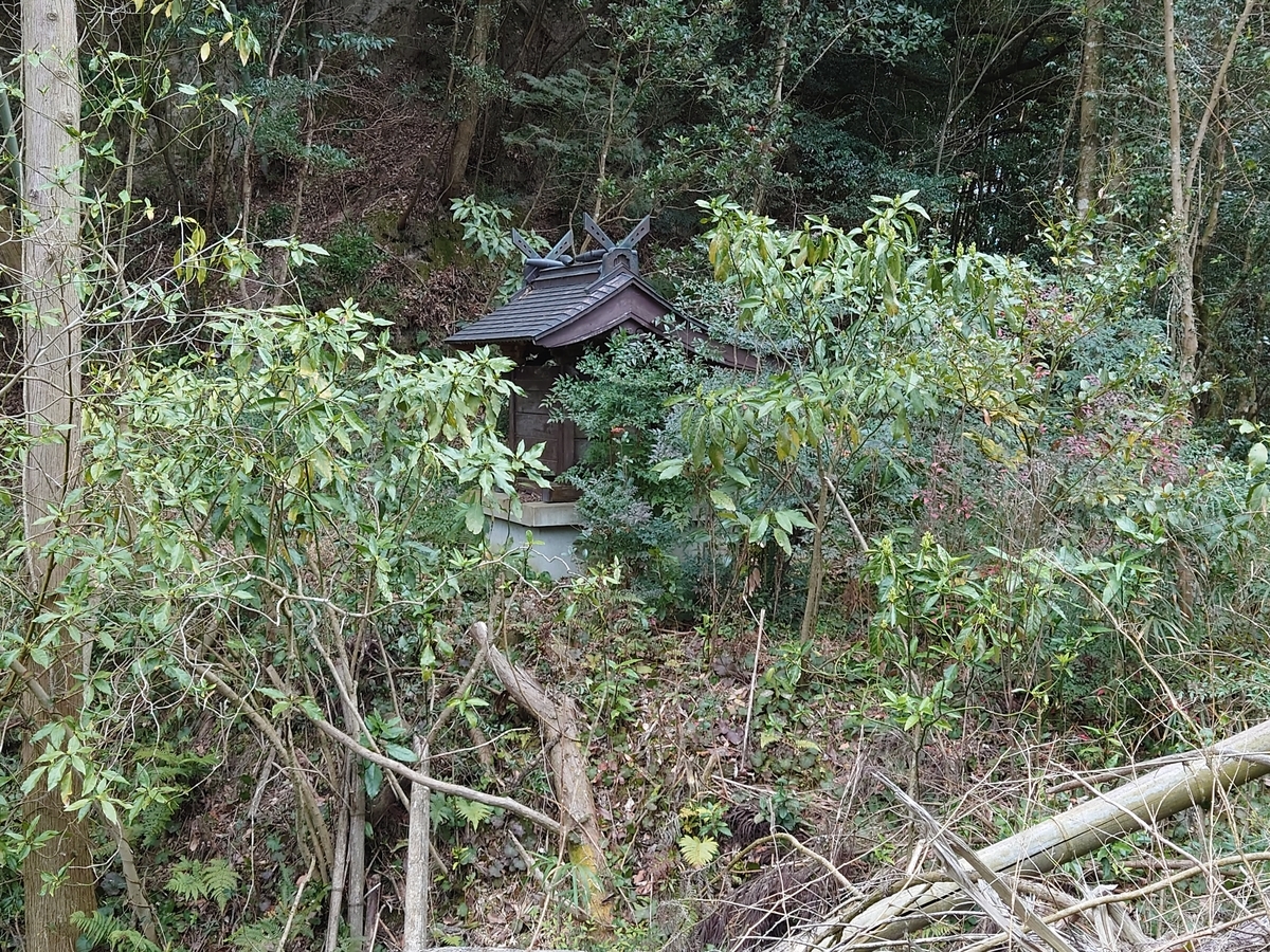 f:id:mai9mami:20220313133331j:plain