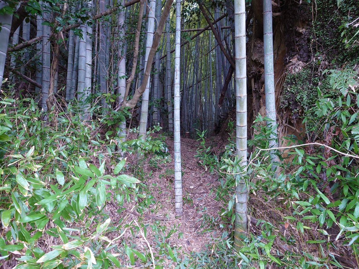 f:id:mai9mami:20220313145644j:plain