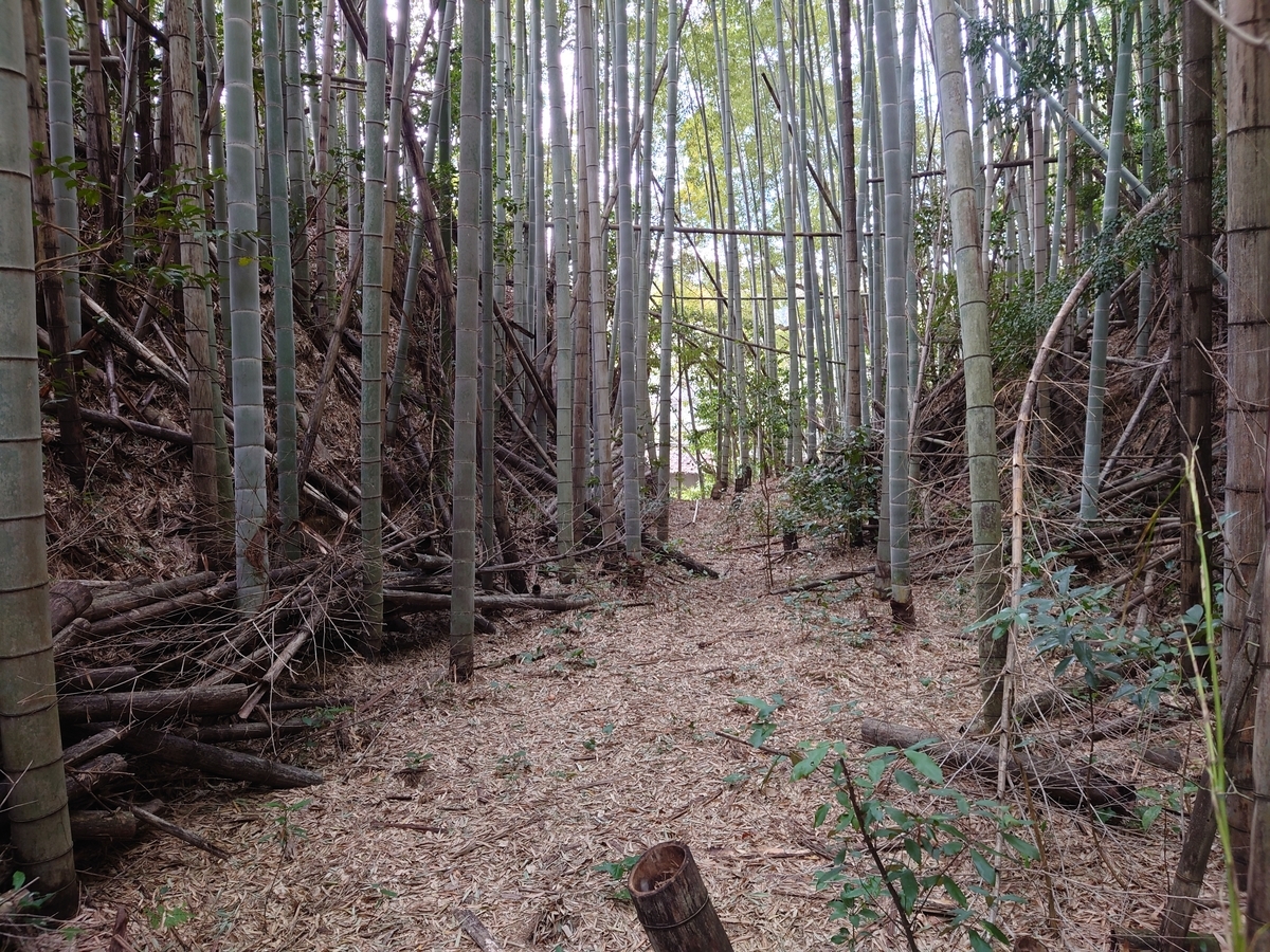 f:id:mai9mami:20220313145826j:plain