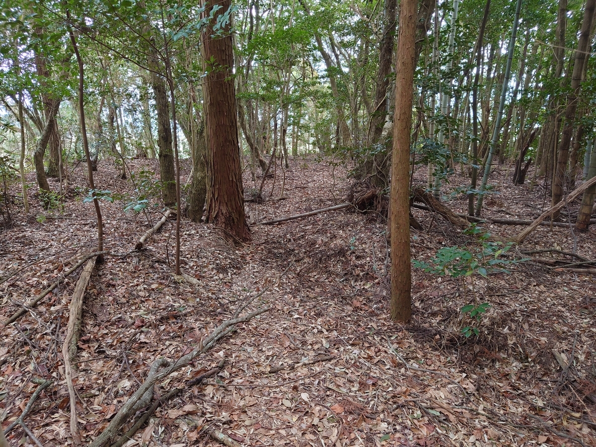 f:id:mai9mami:20220313150550j:plain