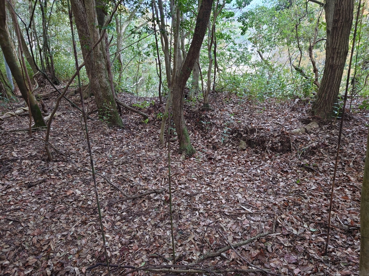 f:id:mai9mami:20220313150757j:plain