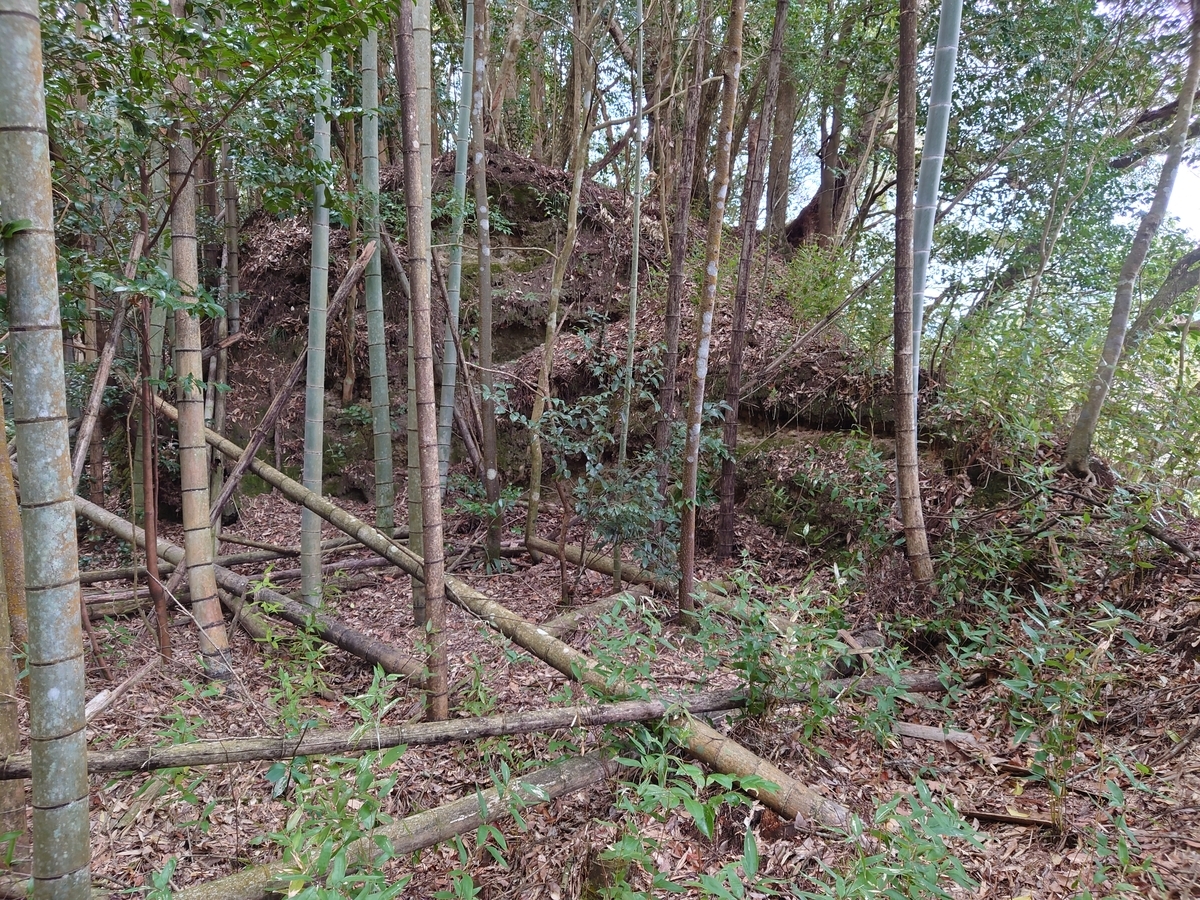 f:id:mai9mami:20220313151132j:plain