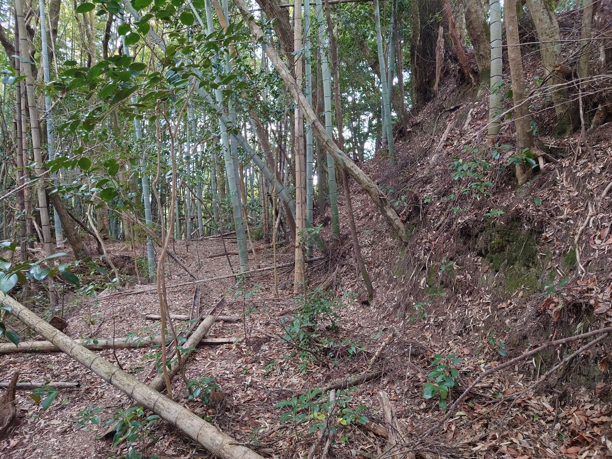 f:id:mai9mami:20220313151356j:plain