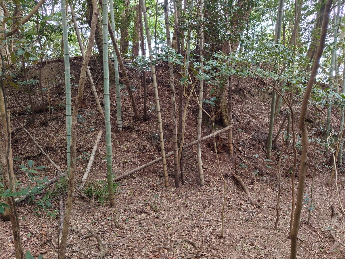 f:id:mai9mami:20220313151727j:plain