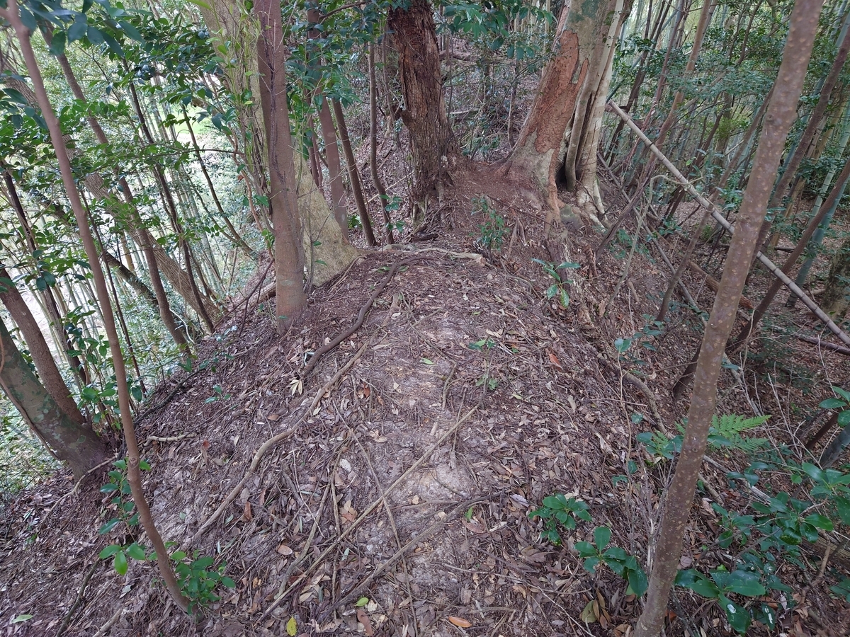 f:id:mai9mami:20220313152058j:plain