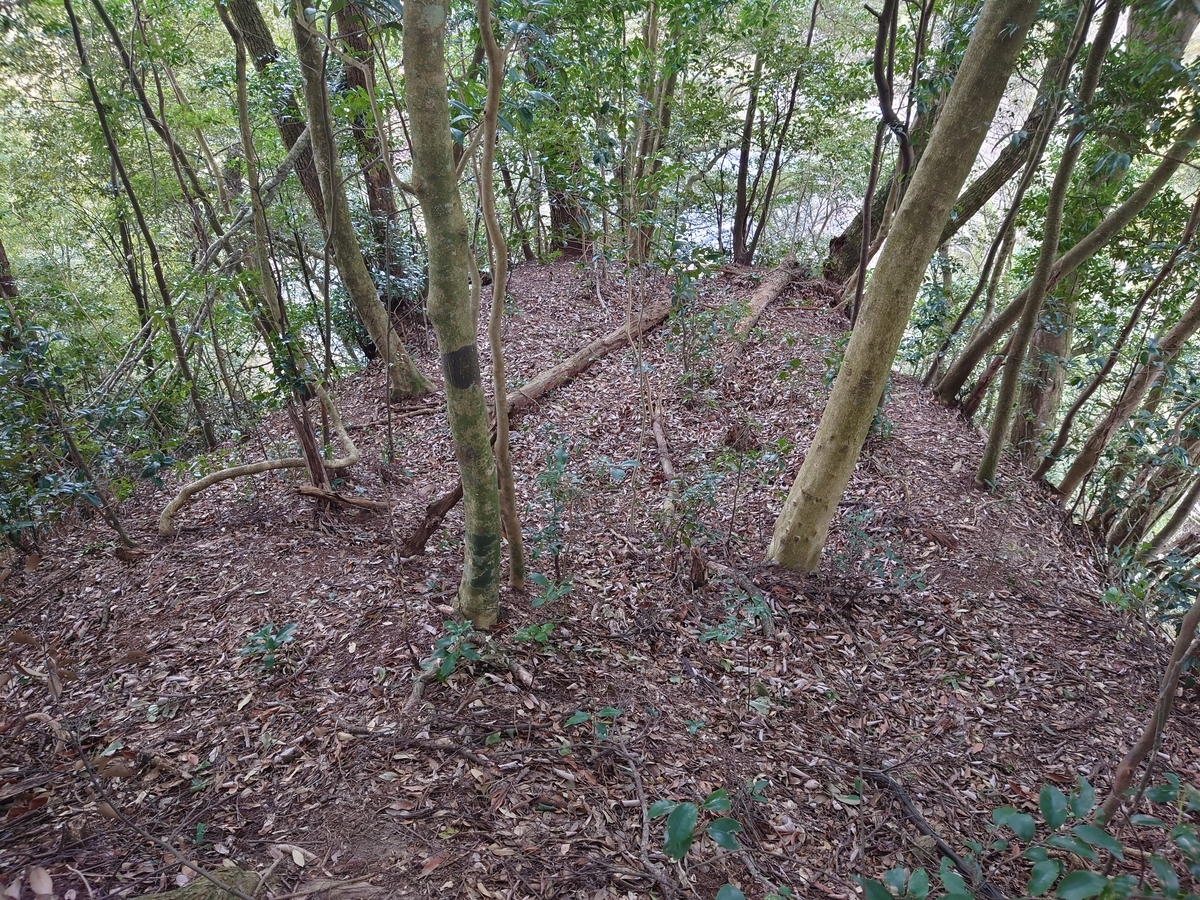 f:id:mai9mami:20220313152121j:plain