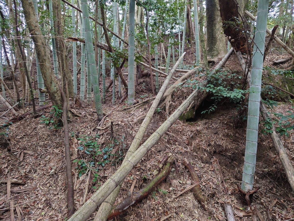 f:id:mai9mami:20220313152511j:plain