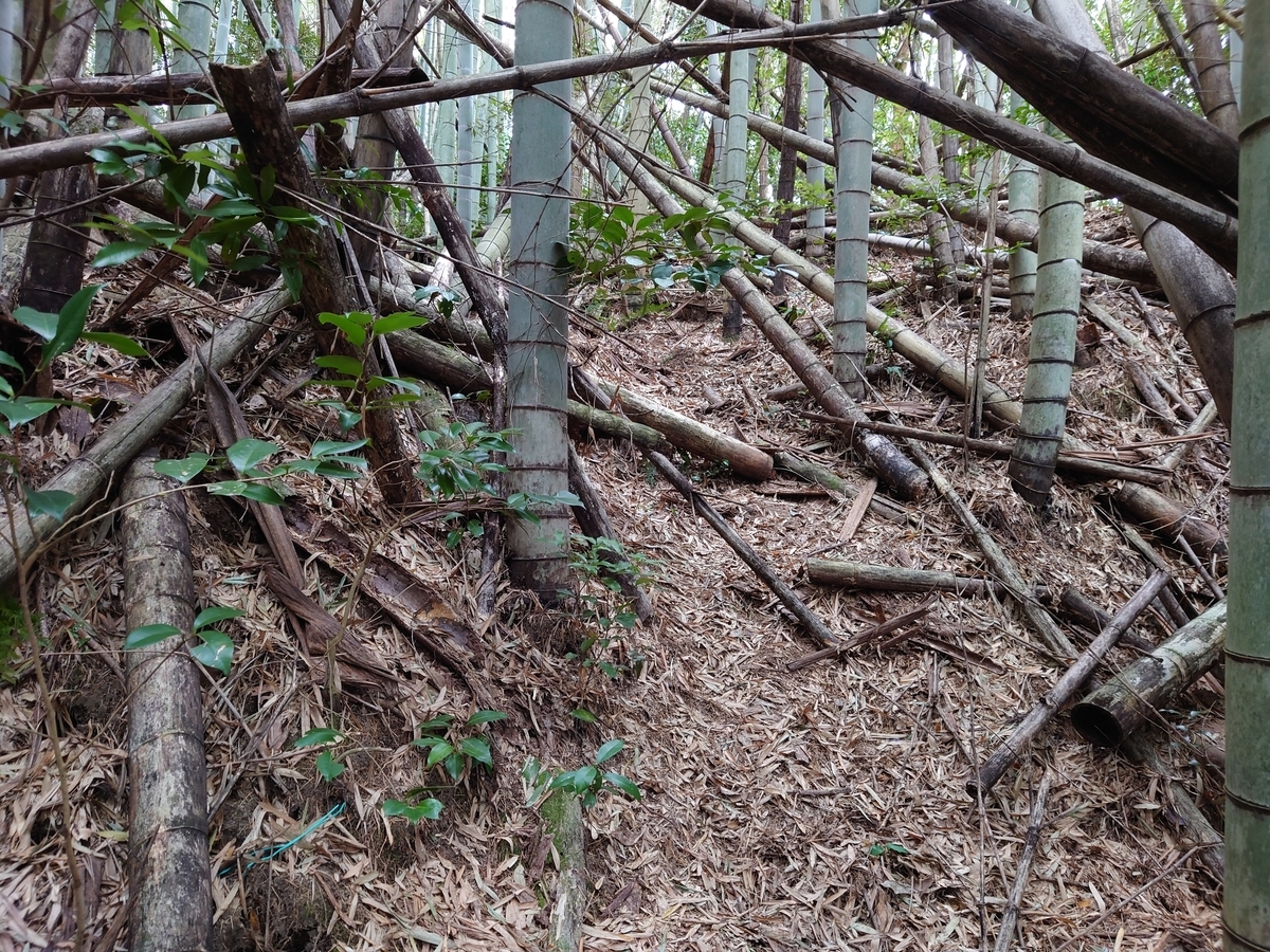 f:id:mai9mami:20220313154201j:plain