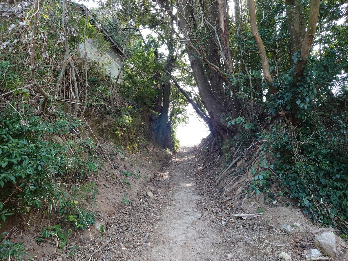 f:id:mai9mami:20220315235251j:plain