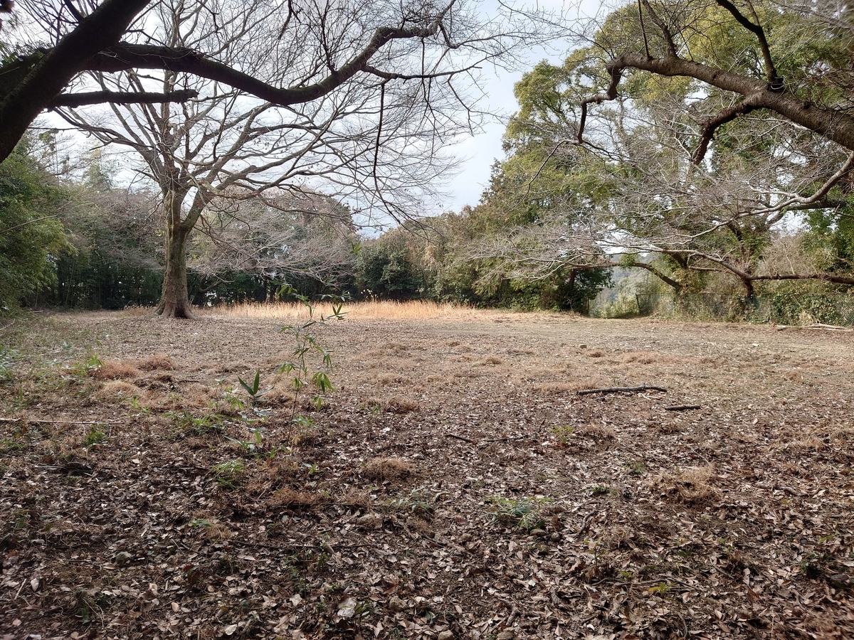 f:id:mai9mami:20220315235408j:plain