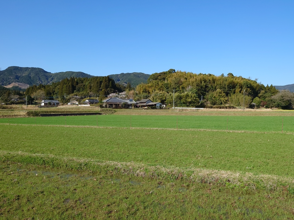 f:id:mai9mami:20220327155030j:plain