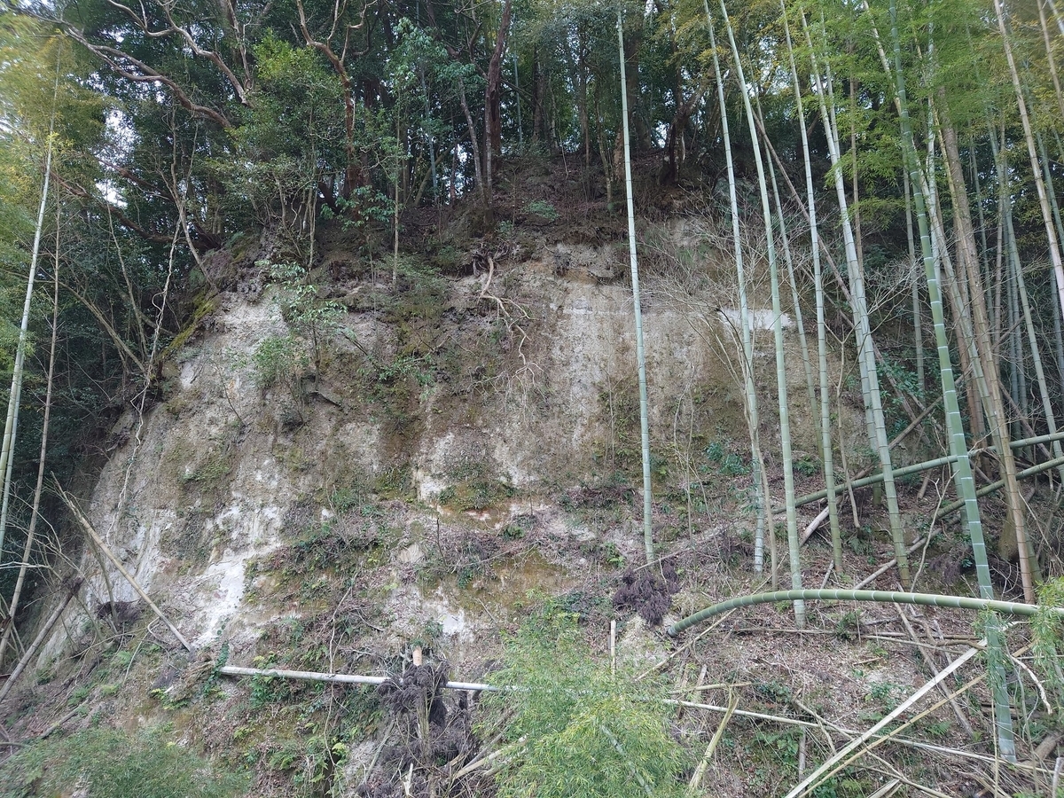 f:id:mai9mami:20220401005809j:plain