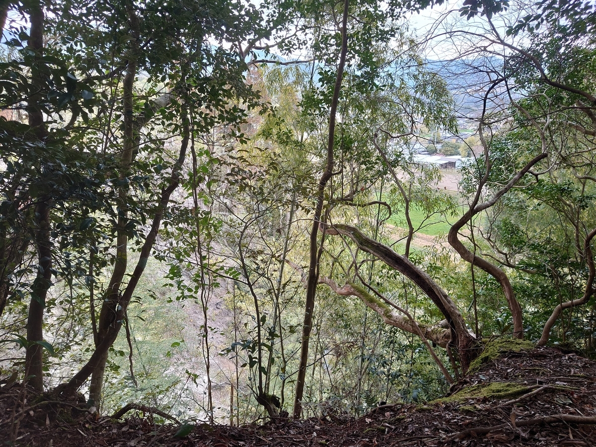 f:id:mai9mami:20220401010420j:plain