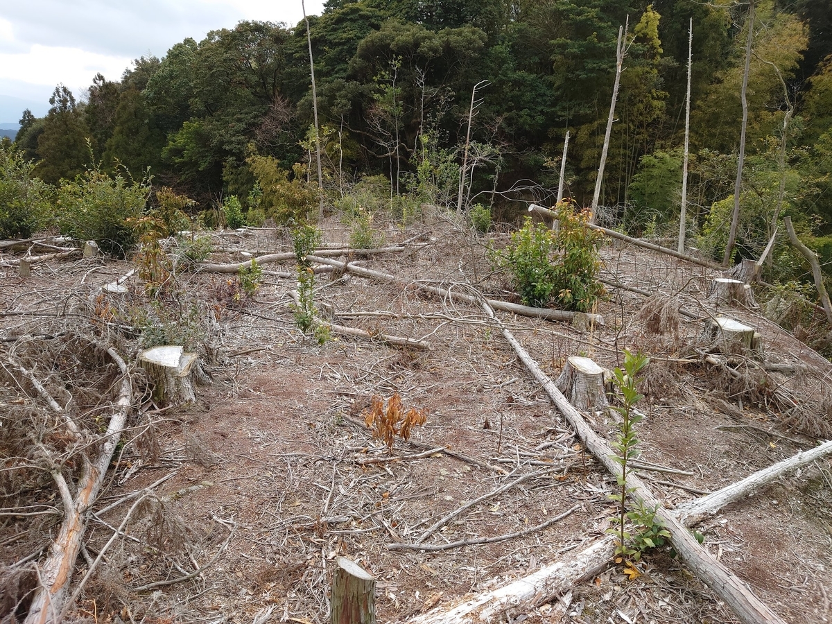 f:id:mai9mami:20220401011513j:plain