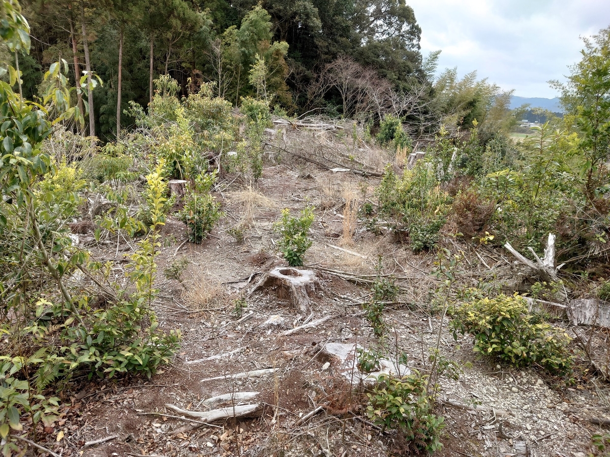 f:id:mai9mami:20220401011747j:plain