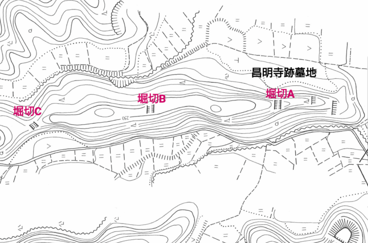 f:id:mai9mami:20220402175043p:plain