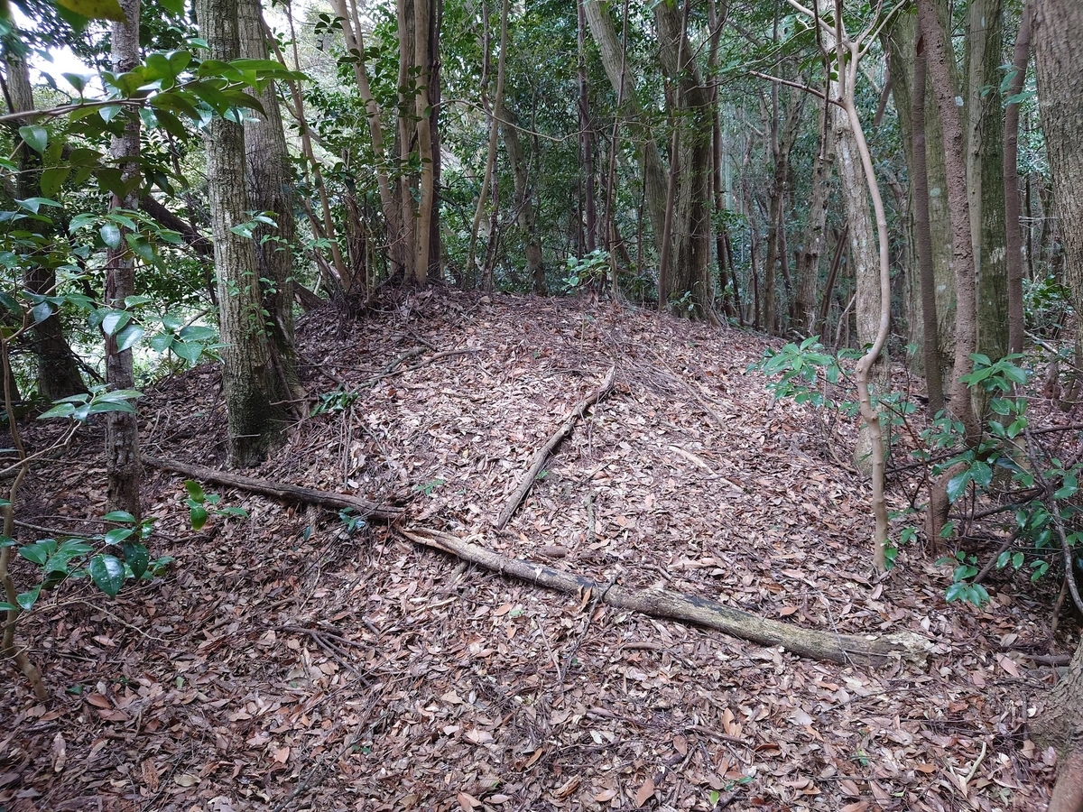 f:id:mai9mami:20220402180634j:plain