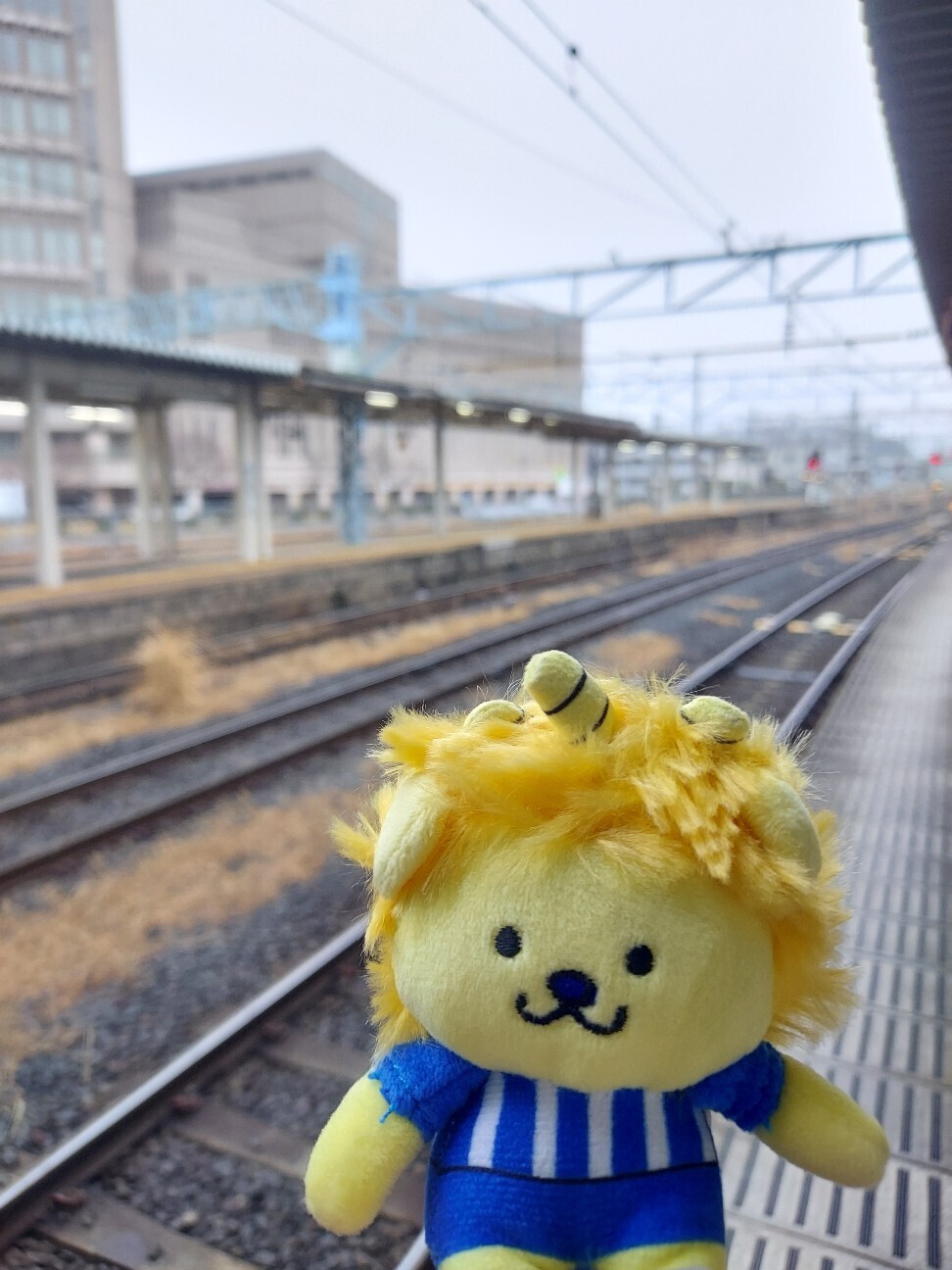 f:id:mai_n:20260308080423j:image