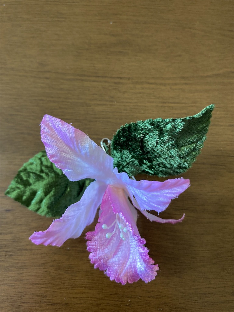 f:id:maiblog2019:20210316132752j:image
