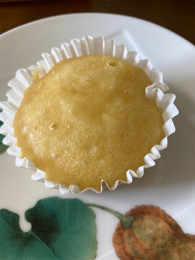 f:id:maiblog2019:20210318151602j:image