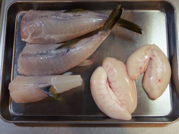 夫婦ダイエットバトル 1週目 ショウサイフグ釣り キリンはハマグリのなかま