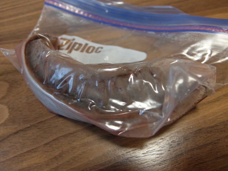 f:id:maicos555:20171108163834j:plain