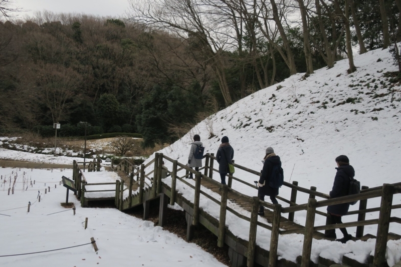 f:id:maicos555:20180130213200j:plain f:id:maicos555:20180130213200j:plain