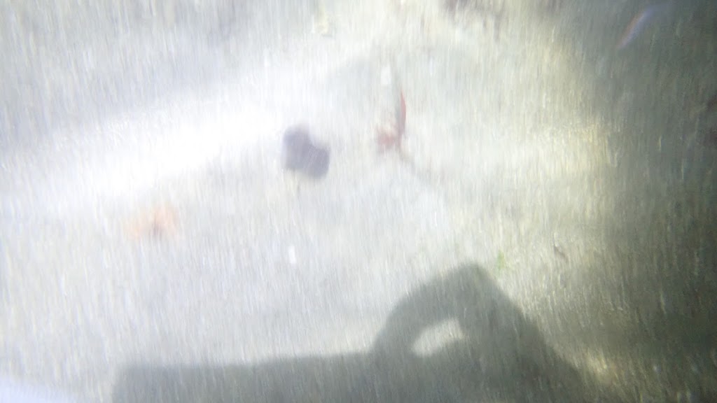 f:id:maicos555:20201228115655j:plain