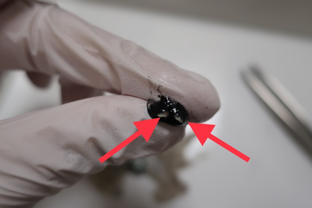 f:id:maicos555:20201228120224j:plain