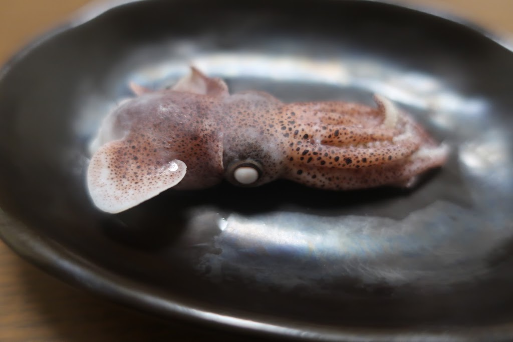 f:id:maicos555:20201228120241j:plain