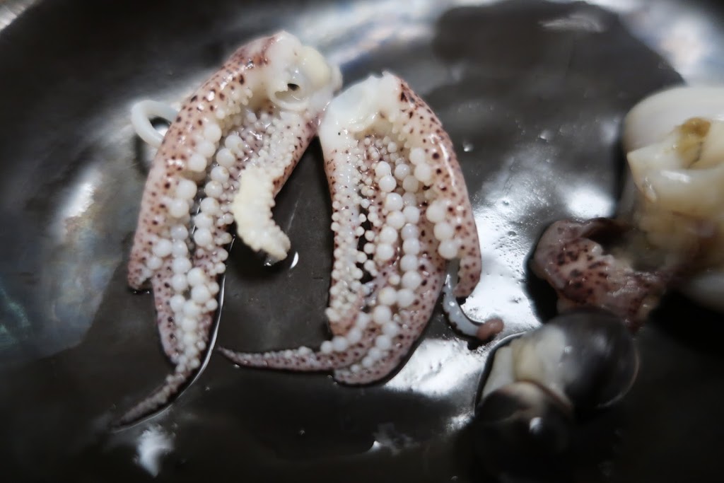 f:id:maicos555:20201228120255j:plain